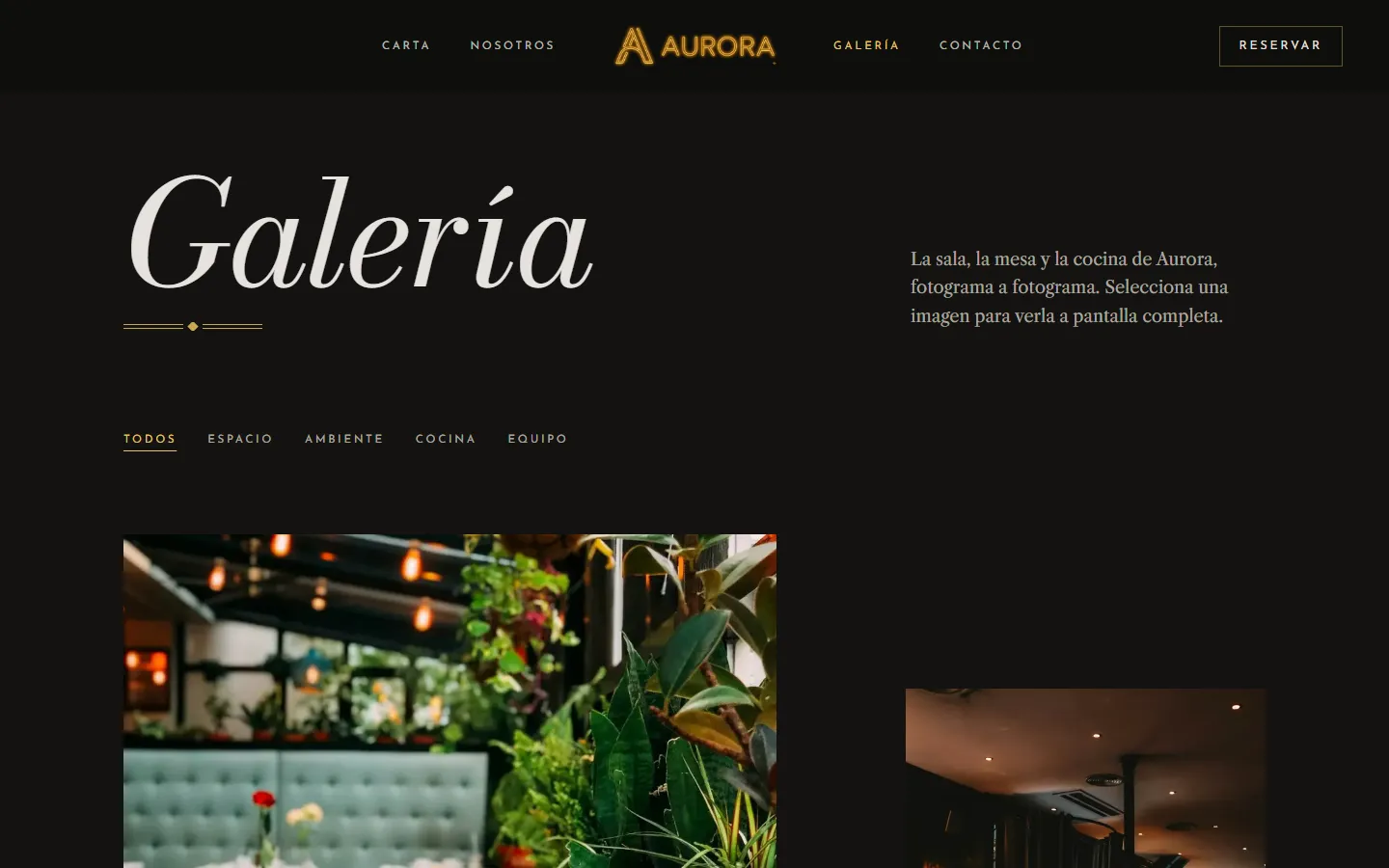 Página Galería de la demo de Aurora con filtros por espacio, ambiente, cocina y equipo